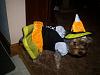 Bella the Candy Corn Witch-102_0325p.jpg