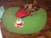 Diddy loves his new bed!-dsc07872.jpg