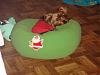 Diddy loves his new bed!-dsc07871.jpg