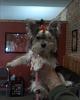 Loving Bella's 1st haircut!!!-050.jpg