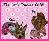 Pia loves her pjs from yorkiepup2 (Gina)-kaliandpia-600-x-501-.jpg