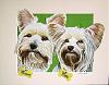 a 'nette portrait of moose & mimi !!-dsc02875.jpg