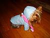 Zoe's new Monkey Daze winter coat...-zoe-yt.jpg