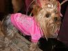 Look at the cute sweater-cimg4559.jpg