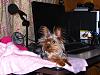 Mommy's Little Helper-onni_desk2.jpg