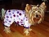 Maxi Can Rock The Purple Pjs-1.jpg