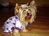 Maxi Can Rock The Purple Pjs-2.jpg