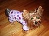 Maxi Can Rock The Purple Pjs-3.jpg