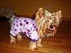 Maxi Can Rock The Purple Pjs-4.jpg