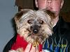 My newest addition - Gizmo-new-dog-resized.jpg