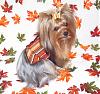 Lacy & Rylie Dressed for Fall-fall-rylie.jpg