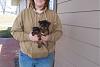 Which little girl did I pick?-baby-girl-yorkies.jpg