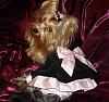 Blossom in her Chloebella Velvet dress & Ladymom bow-014.jpg