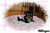 How much has your Yorkie changed?!-blinge-lily.gif