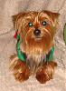 My little boy is ready for Christmas-dsc08061.jpg