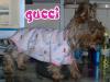 New pics of Gucci-gucci-nov-14a.jpg