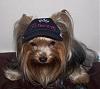 Does this hat make my head look big???-mazey-1204.jpg