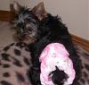 Isabeau is Already 14 Weeks (Pictures)!-isabeau-14weeksc.jpg