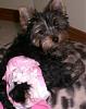 Isabeau is Already 14 Weeks (Pictures)!-isabeau-14weeksd.jpg