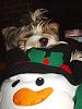 Happiness is a warm snowman :)-christmas-047.jpg