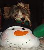 Happiness is a warm snowman :)-christmas-026.jpg