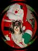 Post Your Pics with Santa!-daphnes-201st-20xmas-20framed.jpg