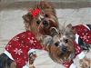 Maddie & Libby in their jammies from Gina!-jammies2.jpg