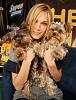 Picture's of Celebritie's Yorkie's-Enjoy!-mollysims_dogspoupettecholoe-1-.jpg