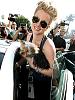 Picture's of Celebritie's Yorkie's-Enjoy!-britney-dog.jpg