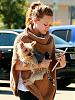 Picture's of Celebritie's Yorkie's-Enjoy!-duff.jpg