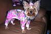 Princess in Hello Kitty Jammies!-0091-copy.jpg
