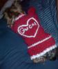 Gucci and her new sweater from "Waistfull"-guccis-new-sweater3.jpg