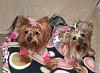 Snuggly and warm in their jammies!-hpim4586.jpg