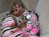 Snuggly and warm in their jammies!-hpim4589.jpg
