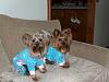 Snuggly and warm in their jammies!-hpim4599.jpg