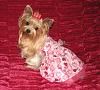 My Valentine's Gal-piccolo-valentines-dress-100jpg.jpg