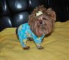 Pia loves her new jammies!!!-16-600-x-515-.jpg