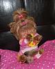 Pia loves her new jammies!!!-13-478-x-600-.jpg