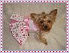 Koda Jade's Valentine Ready-dsc06444.jpg