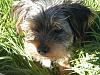 Outside in the sun-charlie6.jpg