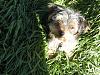 Outside in the sun-charlie7.jpg