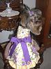 Pictures of kikki in her birthday dress-kikkifebruary7-birthday-018.jpg