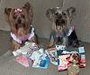 Maddie and Libby's big surprise!-hpim4821.jpg