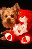 My babies hope you had a fabulous Valentines Day-c.jpg