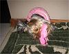 Kissing Lips & A New Bed (that Mommy made me!)-zoeherkissylips_14-1.jpg