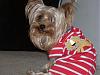 Tobie in his onesies-012.jpg