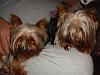 Who's Who?-dsc09523.jpg