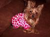 Lily in her new Go Fetch PJ's-lily-pj3.jpg