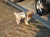 Snow day turned into first Groom day!-fiona-074.jpg