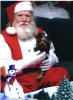 Puppy's first christmas-scanned-image.jpg